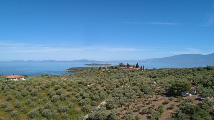 Image No.4-3 Bed Plot for sale