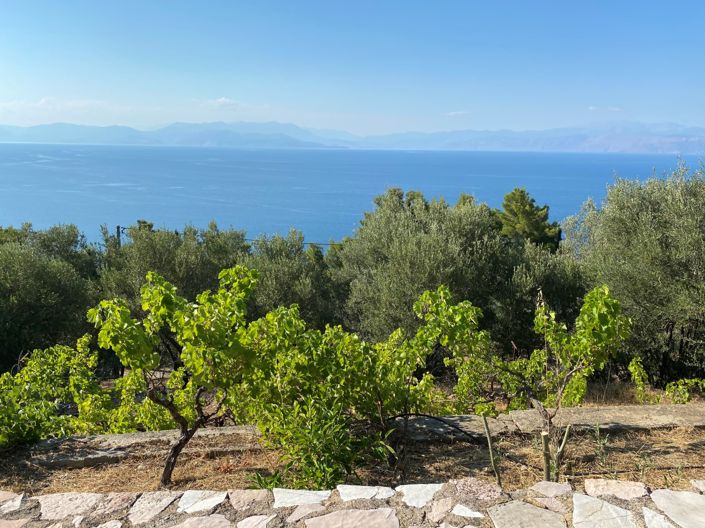 Image No.10-5 Bed Villa for sale