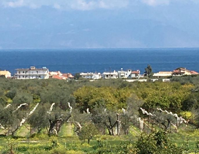 Image No.24-4 Bed House for sale