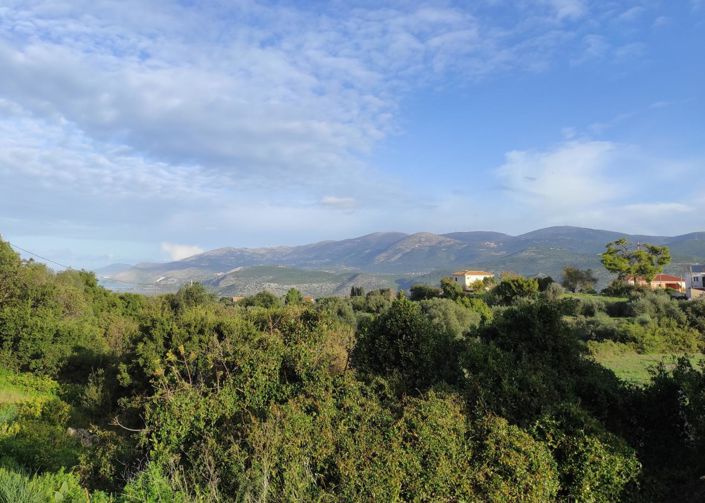 Image No.17-3 Bed House for sale