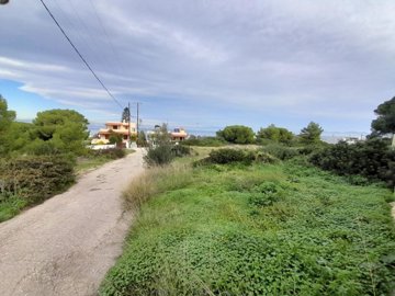 5267_20231214_104141.jpg