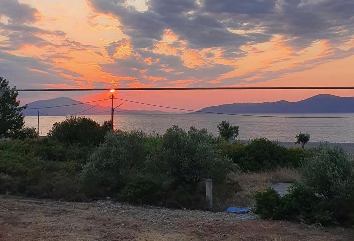 Image No.19-Maison de 4 chambres à vendre à Grèce centrale