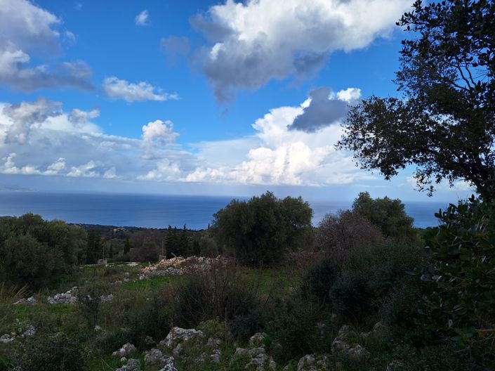 Image No.2-5 Bed Plot for sale