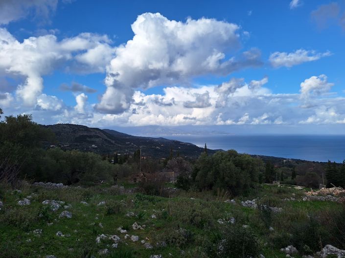 Image No.3-5 Bed Plot for sale