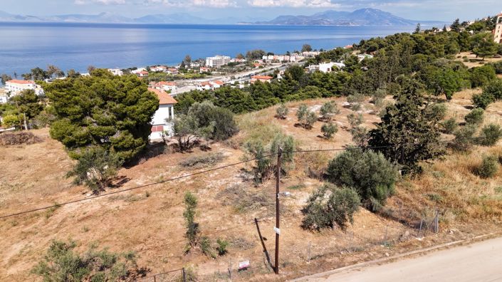 Image No.4-4 Bed Plot for sale