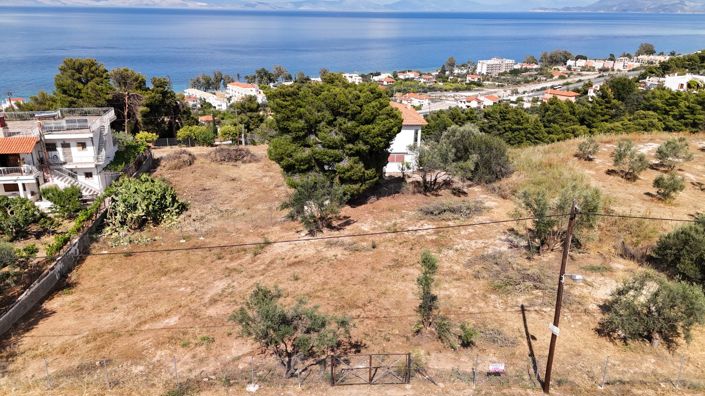 Image No.5-4 Bed Plot for sale