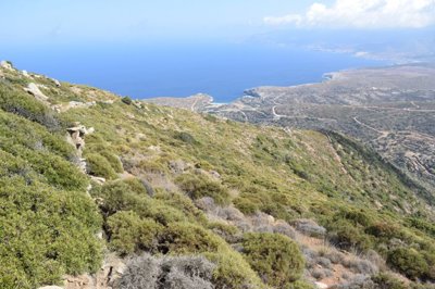 1 - Andros, Terre