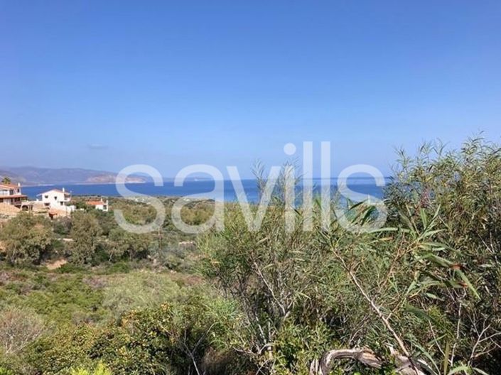 Image No.2-3 Bed Plot for sale