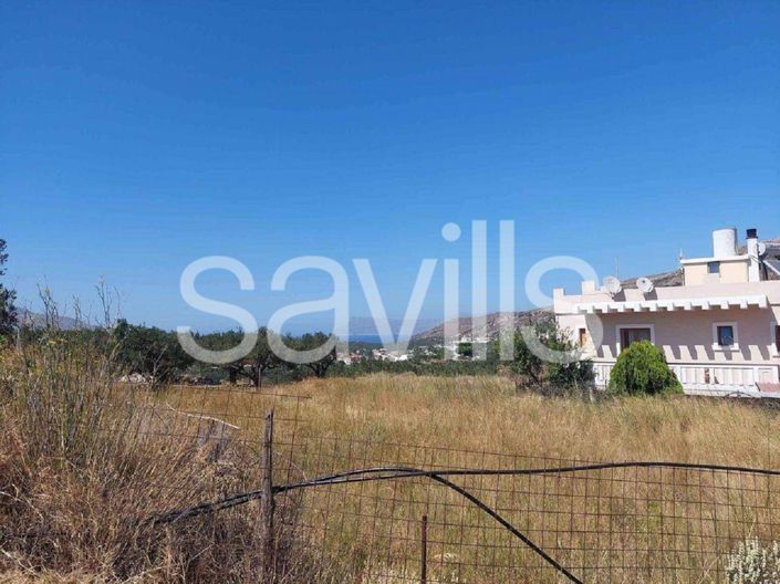 Image No.4-5 Bed Plot for sale