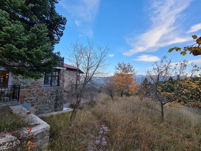 Image No.4-Villa de 4 chambres à vendre à Grèce centrale