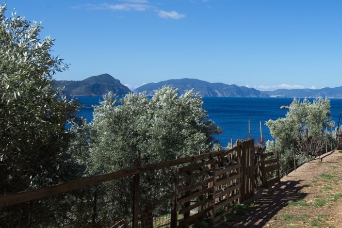 Image No.6-1 Bed House for sale