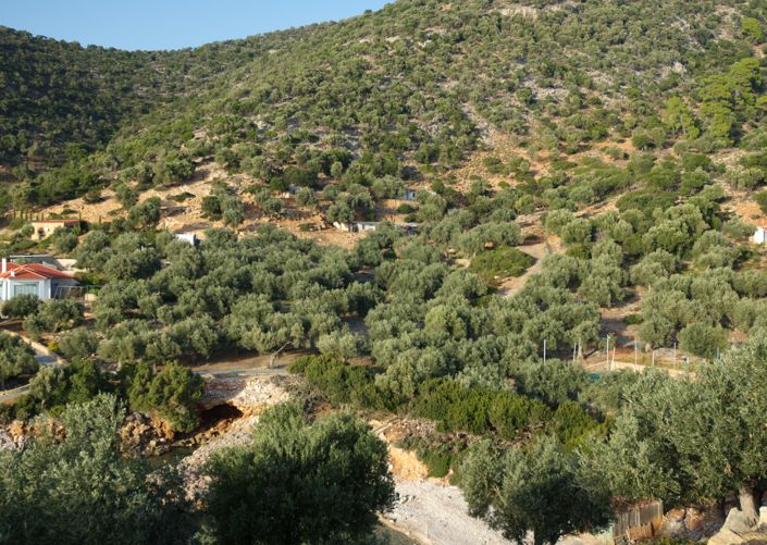 Image No.7-1 Bed House for sale