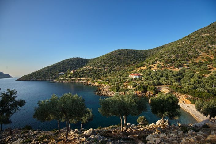 Image No.8-1 Bed House for sale