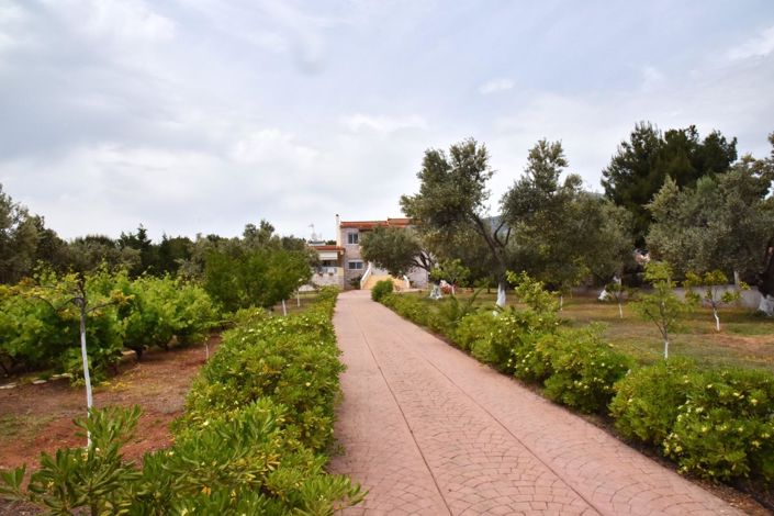 Image No.2-Maison à vendre à Eretria