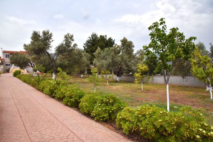 Image No.3-Maison à vendre à Eretria