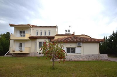 6175_4.jpg