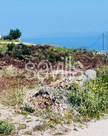 Image No.7-Terrain de 4 chambres à vendre à Lefkas