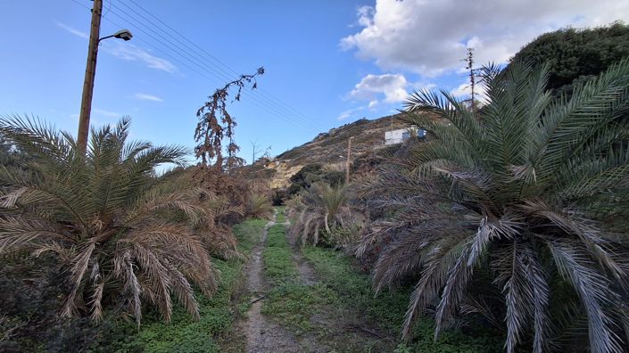 Image No.6-Maison de 1 chambre à vendre à Lasithi