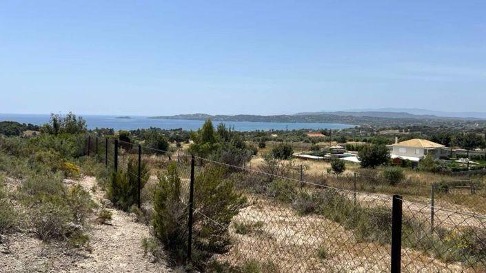 Image No.2-4 Bed Plot for sale