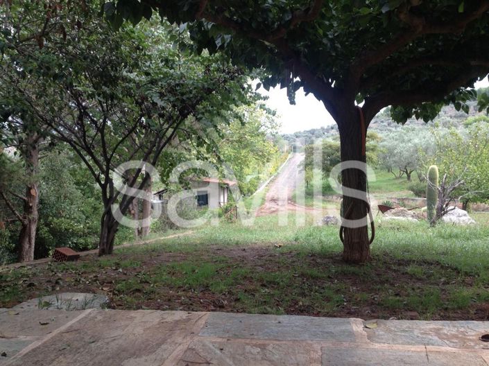 Image No.10-3 Bed House for sale