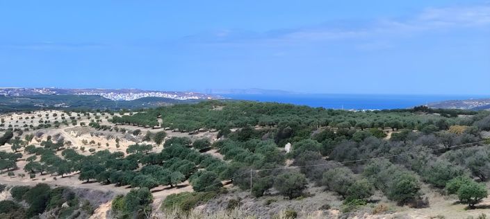 Image No.1-Land for sale