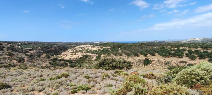 Image No.2-Property for sale