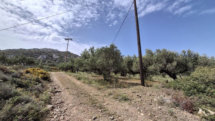 Image No.3-Terrain à vendre à Lasithi