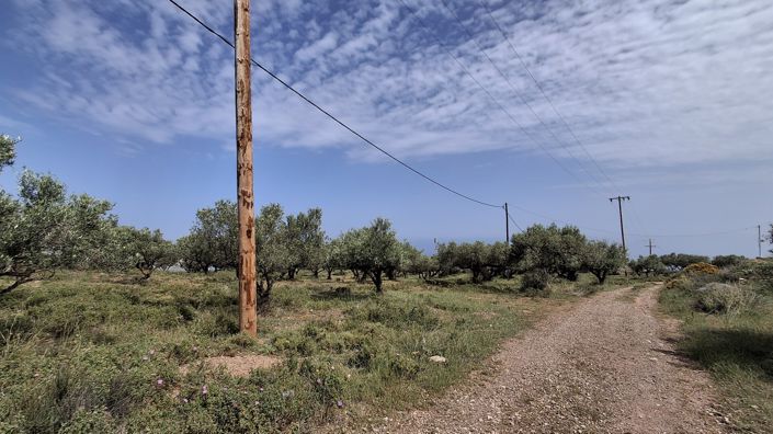 Image No.3-Terrain à vendre à Lasithi