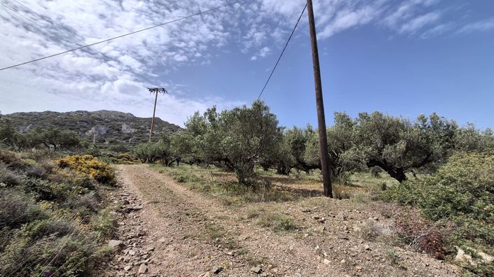 Image No.5-Terrain à vendre à Lasithi