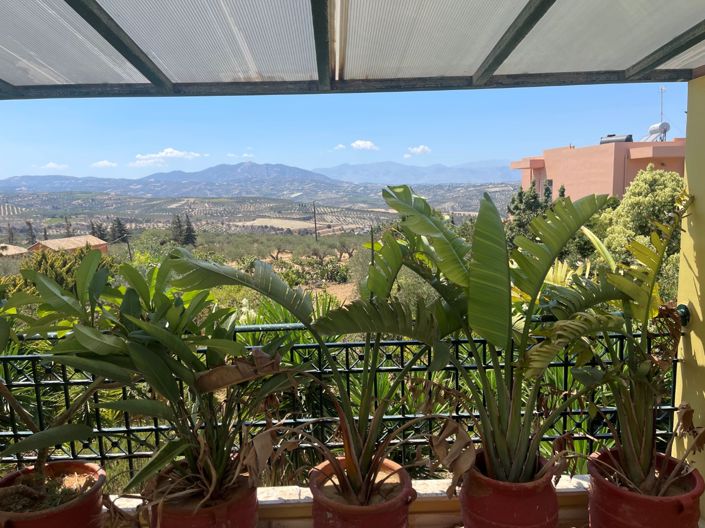 Image No.8-House for sale