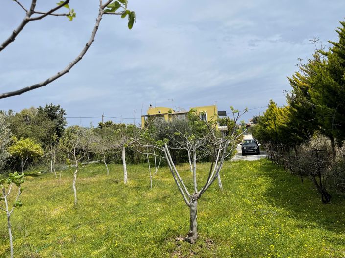 Image No.9-House for sale