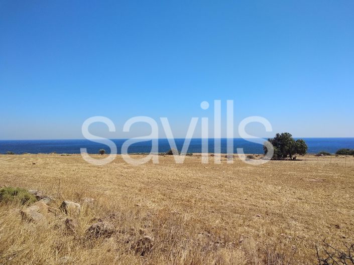 Image No.2-4 Bed Plot for sale