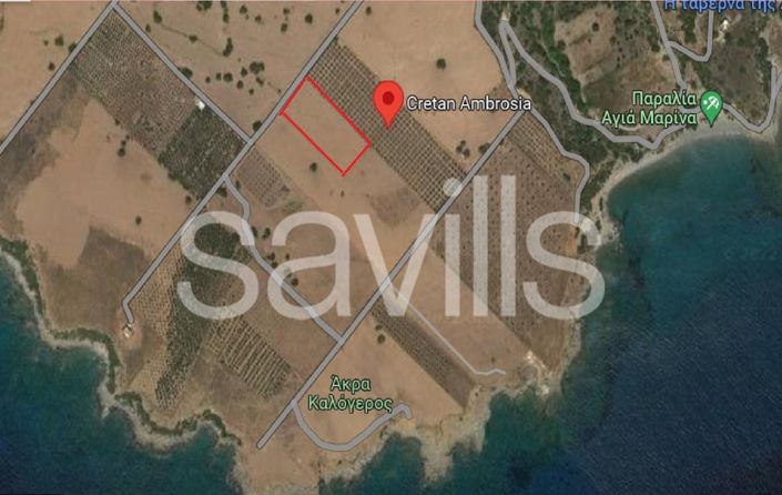 Image No.5-4 Bed Plot for sale