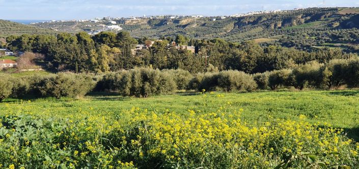 Image No.4-Maison de 2 chambres à vendre à Héraklion