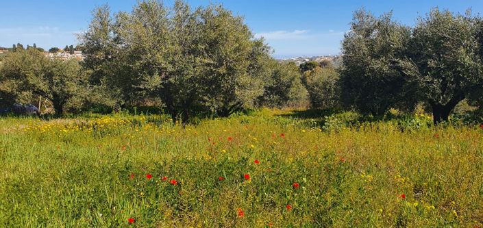 Image No.5-Maison de 2 chambres à vendre à Héraklion