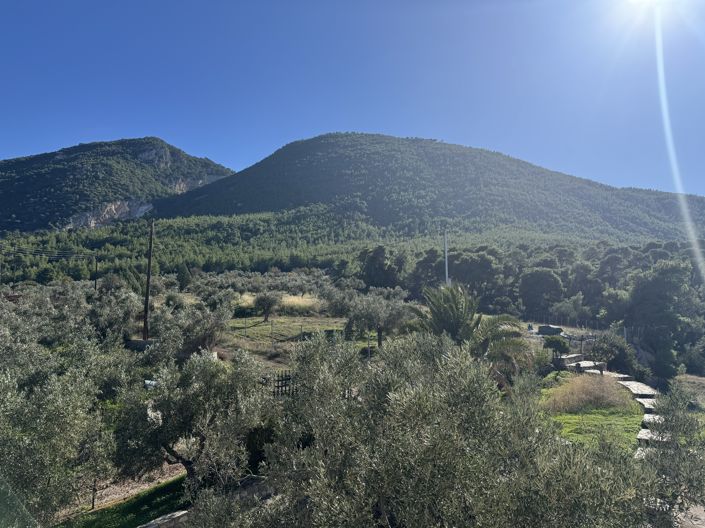 Image No.14-House for sale