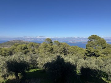 Kentriki - Savills Hellas most sold property