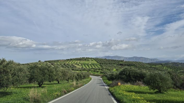 Image No.16-2 Bed House for sale