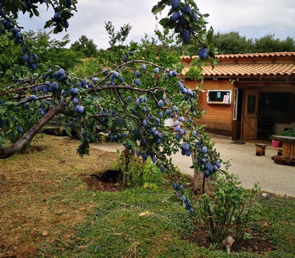 Image No.14-1 Bed Property for sale