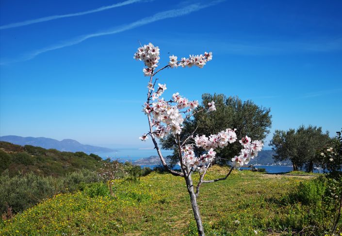 Image No.16-1 Bed Property for sale