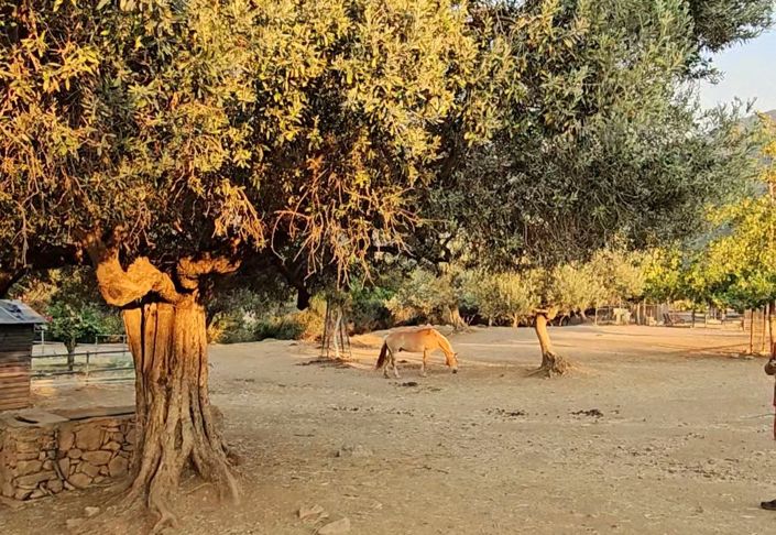 Image No.6-1 Bed Property for sale