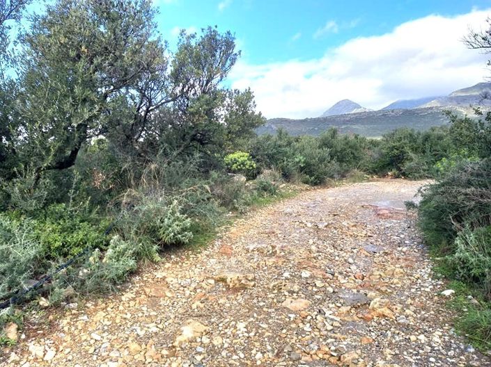 Image No.2-Property for sale