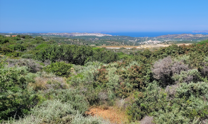 Image No.6-Propriété à vendre à Lasithi