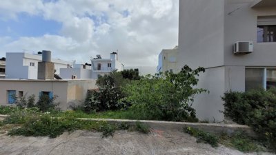 02 (Large)