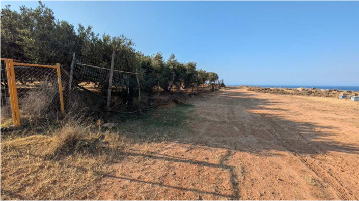 Image No.3-4 Bed Plot for sale