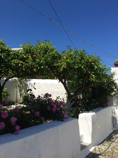 Image No.2-4 Bed House for sale