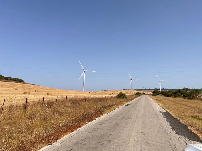 Image No.3-Plot for sale