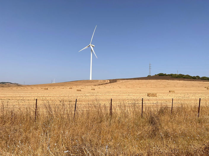 Image No.4-Plot for sale