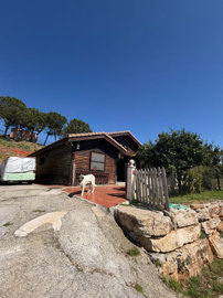 b98le8d7m9k3degpefzhs0lif8u4xzvzhwxtmggyekxx9