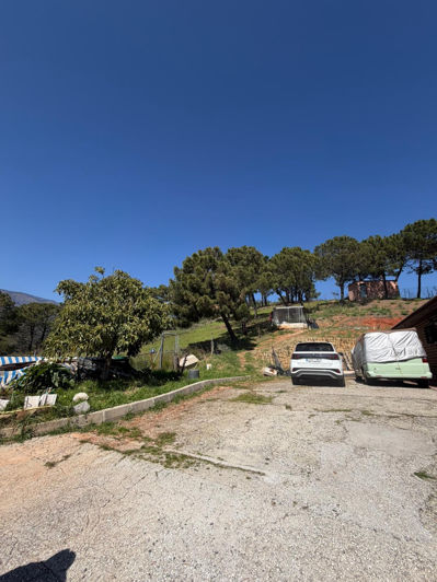 Image No.16-3 Bed Finca for sale